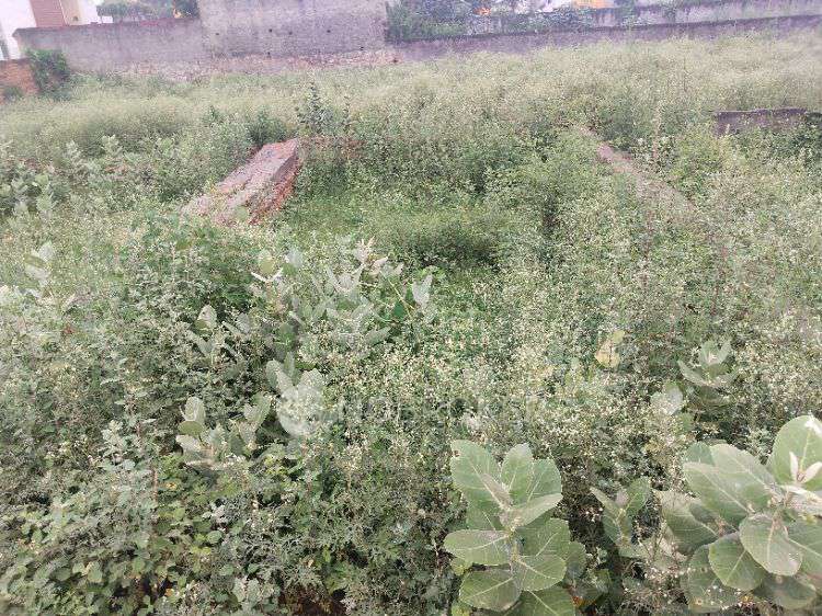 Plot For Sale  In Achheja