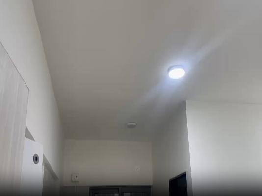 1 RK Flat In Brahma Town House for Rent  In Balewadi