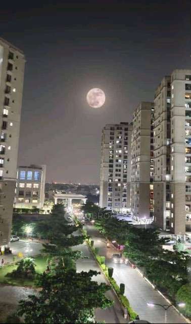 2 BHK Flat In Alliance Orchid Springs For Sale  In Korattur