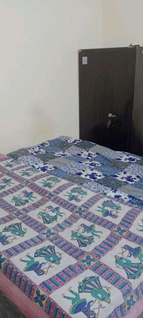 PG for Anyone in M4mg+qvm, Captain Satish Marg, Rishi Nagar, Pitampura, Delhi, 110034, India
