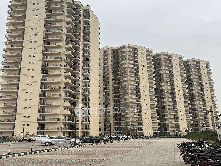 2 BHK Flat In Signature Global The Roselia for Rent  In Sector 95a