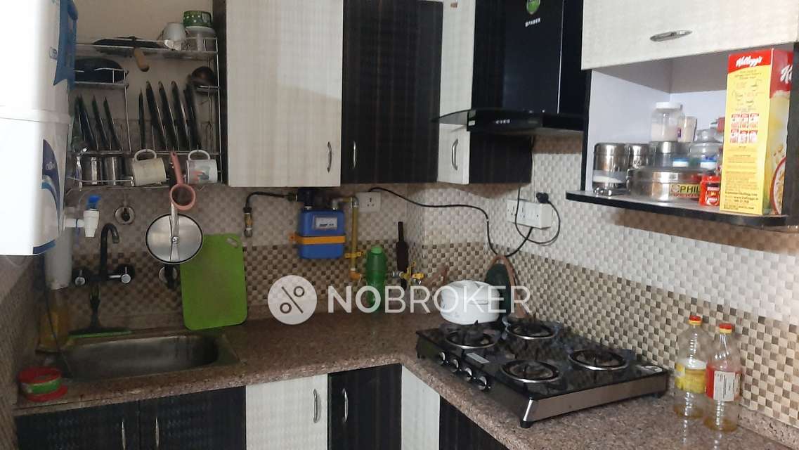 1 BHK Flat In East Platinum For Sale  In Sector 44, Noida