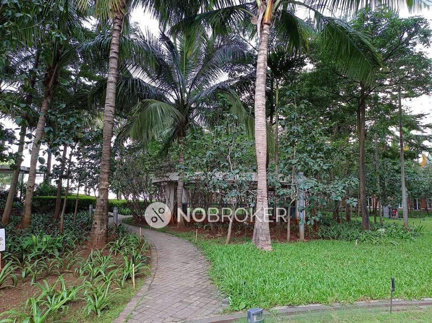 3 BHK Flat In Megapolis Township, Hinjewadi for Rent  In Hinjawadi Maan Phase 3