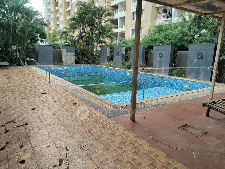 1 BHK Flat In Swapnalok for Rent  In Papde Wasti