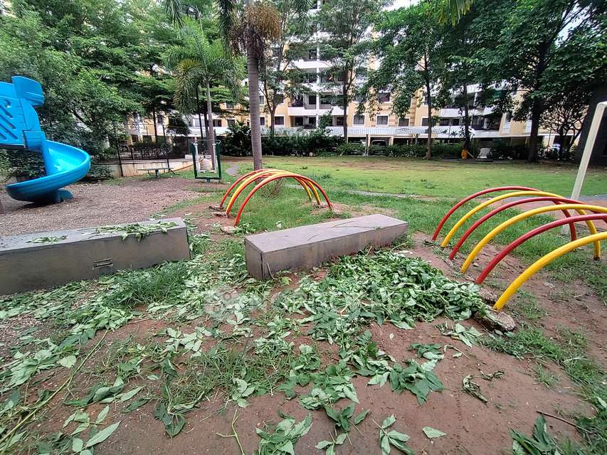 1 BHK Flat In Swapnalok for Rent  In Papde Wasti