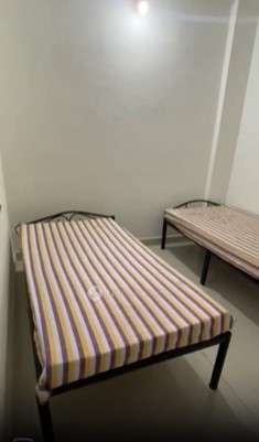 PG for Anyone in Loni Kalbhor