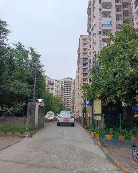 3 BHK Flat In Amrapali Princely Estate For Sale  In Sector-76