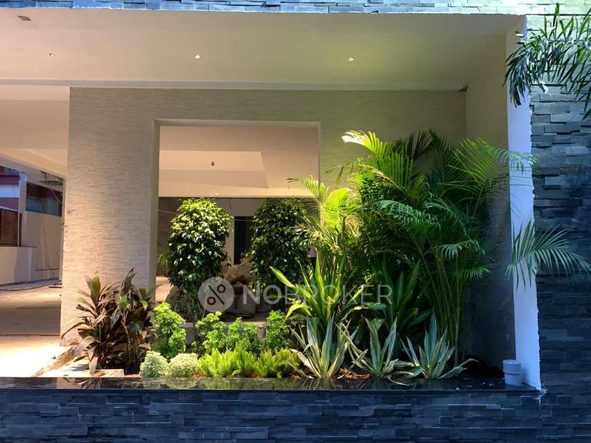 3 BHK Flat for Rent  In Alwarpet