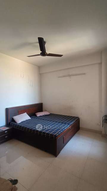 2 BHK Flat In Signature Global Synera for Rent  In Sector-81