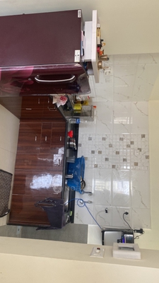 1 BHK Flat In Vision Ace for Rent  In Tathawade