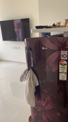 1 BHK Flat In Vision Ace for Rent  In Tathawade