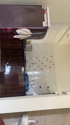 1 BHK Flat In Vision Ace for Rent  In Tathawade