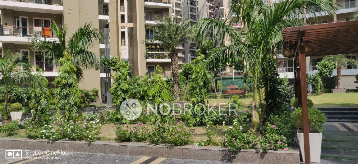 3 BHK Flat In Casa Woodstock For Sale  In Gaur City 2