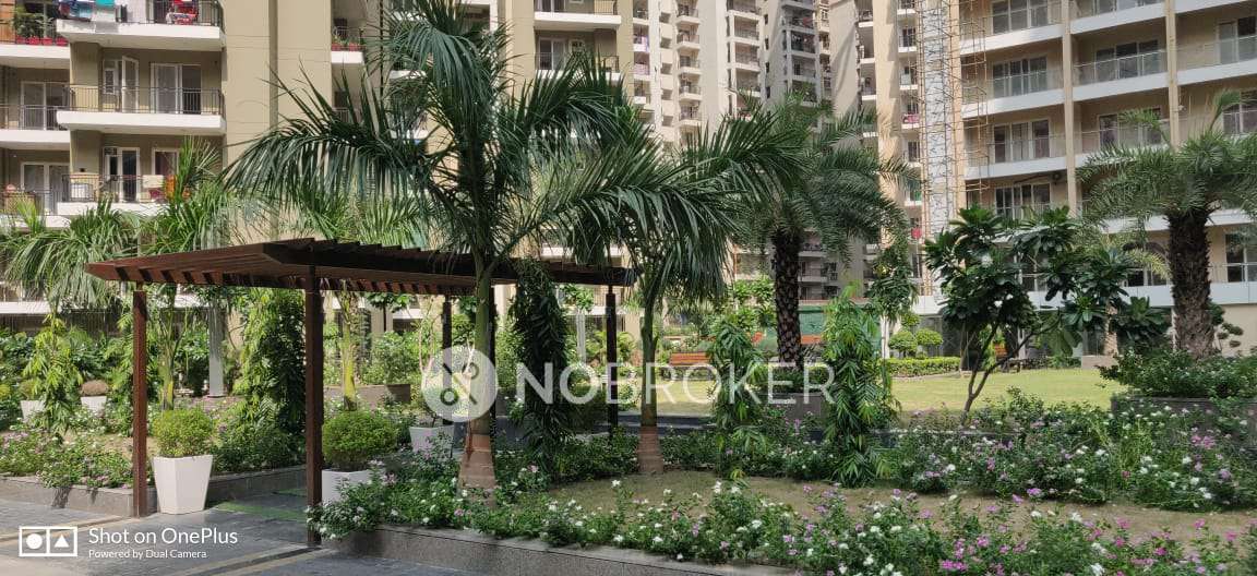 3 BHK Flat In Casa Woodstock For Sale  In Gaur City 2