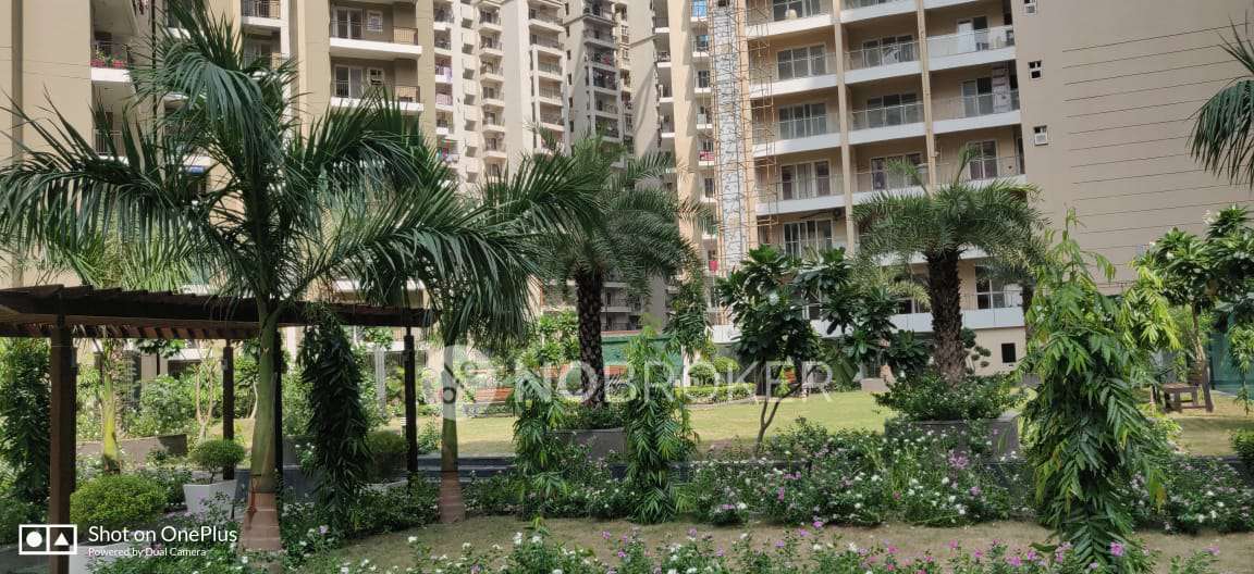 3 BHK Flat In Casa Woodstock For Sale  In Gaur City 2