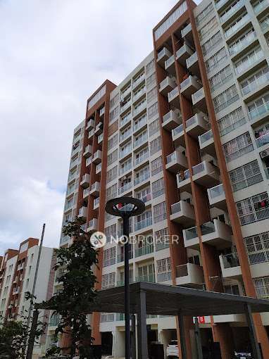 1 BHK Flat In Kohinoor Tinsel County, Hinjewadi For Sale  In Tinsel County