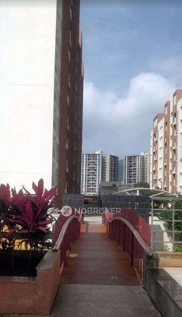 1 BHK Flat In Kohinoor Tinsel County, Hinjewadi For Sale  In Tinsel County
