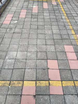 1 BHK Flat In Gk Peace Valley for Rent  In Pimple Saudagar