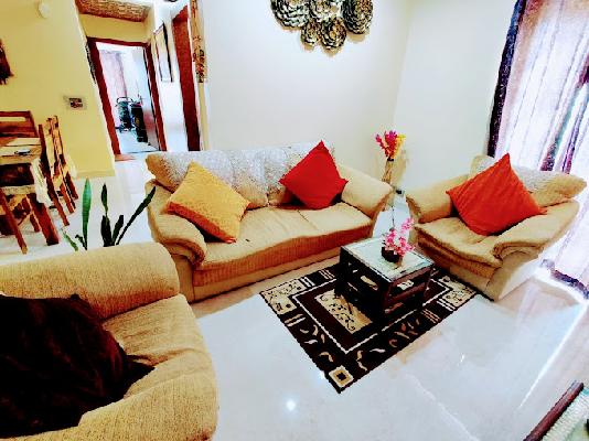 PG for Boys in Sector 48