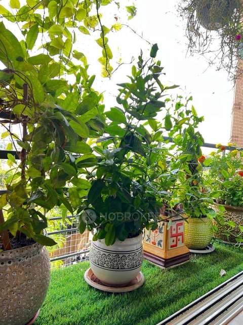 1 BHK Flat In Gurukrupa Smiles For Sale  In Malad West