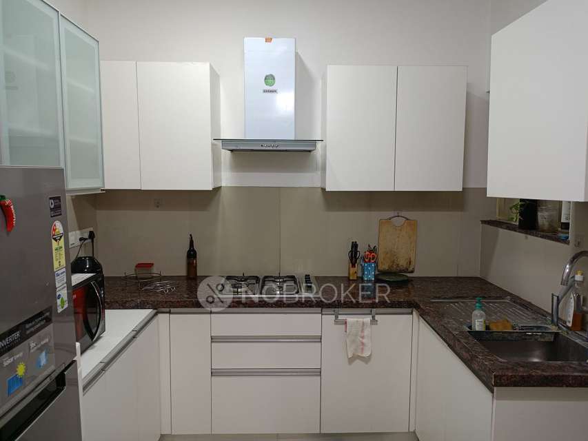 2 BHK Flat In Marvel Ideal Spacio for Rent  In Undri