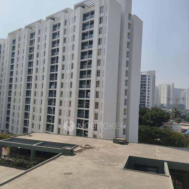 2 BHK Flat In Pegasus Megapolis Saffron for Rent  In Hinjawadi