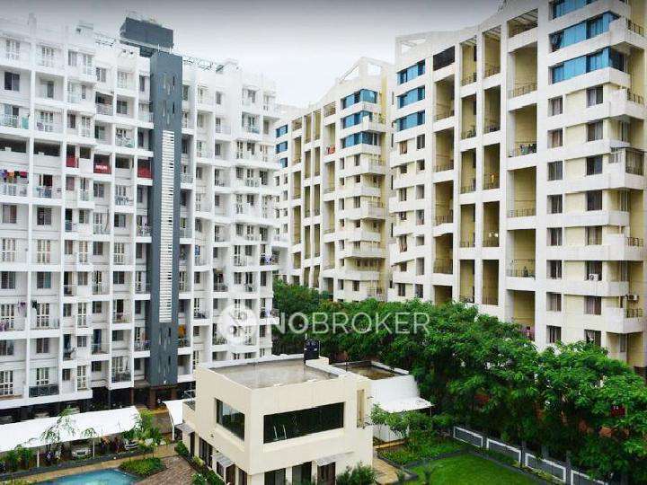 1 BHK Flat In Pristine Prolife I for Rent  In Wakad