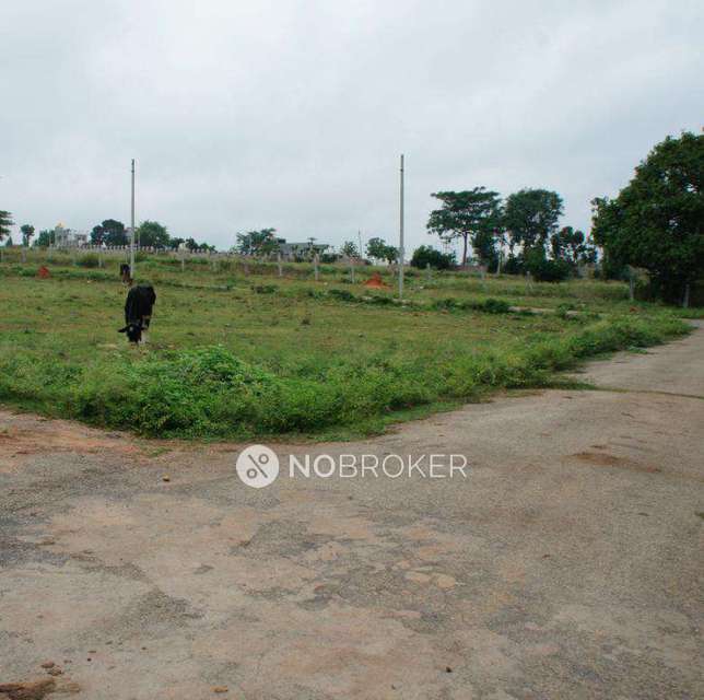 Plot For Sale  In Dasanpura 