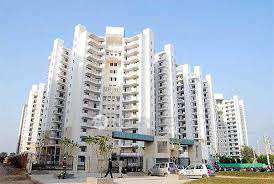 1 BHK Flat In Palam Apartments for Rent  In Palam