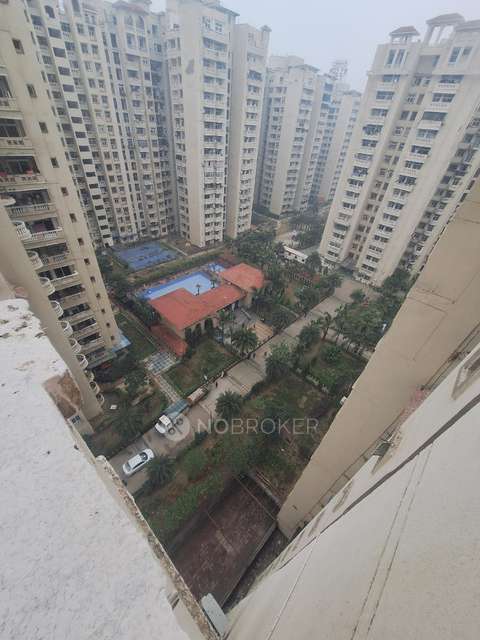 3 BHK Flat In Amrapali Silicon City For Sale  In  Sector 76