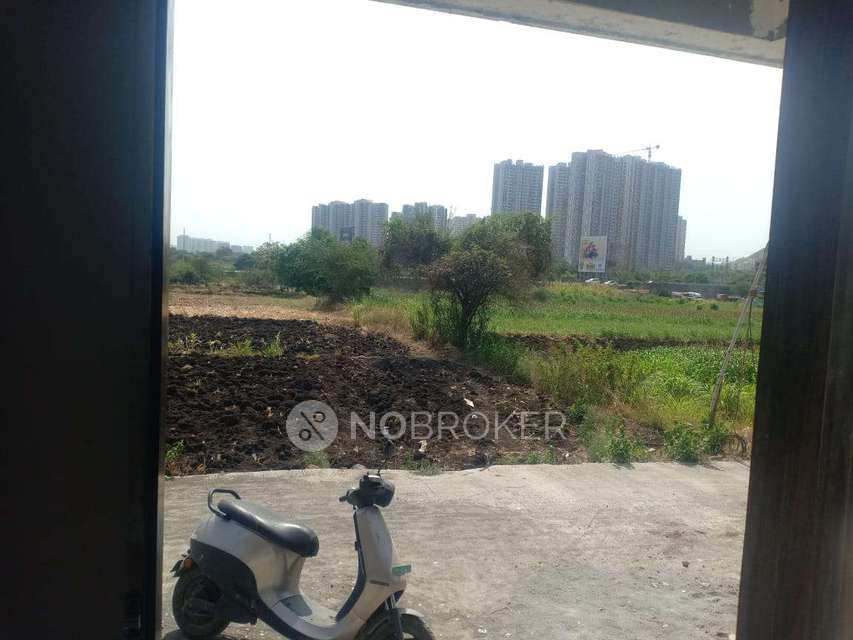 2 BHK Flat In Gaikwad Apartment for Rent  In Hinjewadi