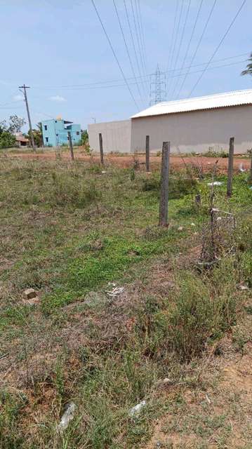 Plot For Sale  In New Vellanur