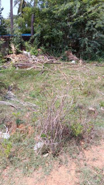 Plot For Sale  In New Vellanur