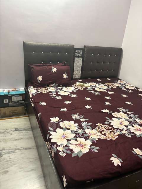 Single Room for Female In 3 BHK  In Laxmi Nagar