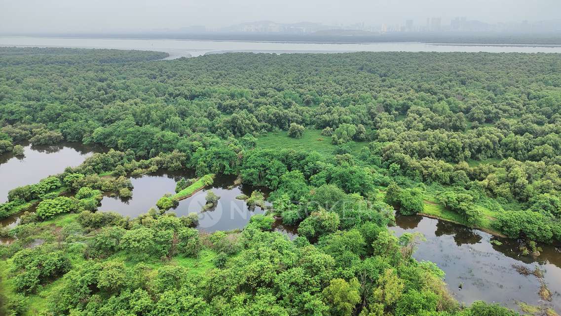 3 BHK Flat In Green Palms Chs Ltd, Ghansoli For Sale  In Ghansoli