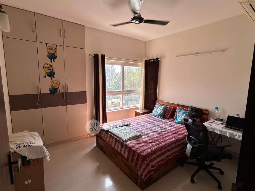 3 BHK Flat In Adani Oyster Grande Tower H for Rent  In Gurgaon