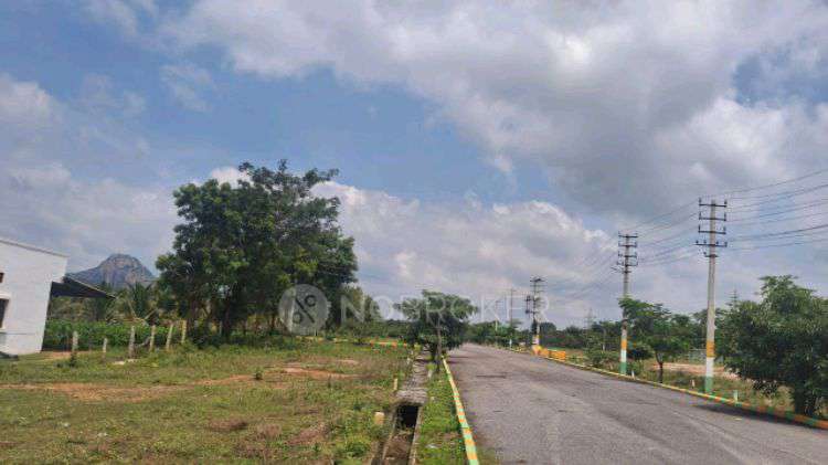 Plot For Sale  In Y.g.  Nature Plots In Kanakpura