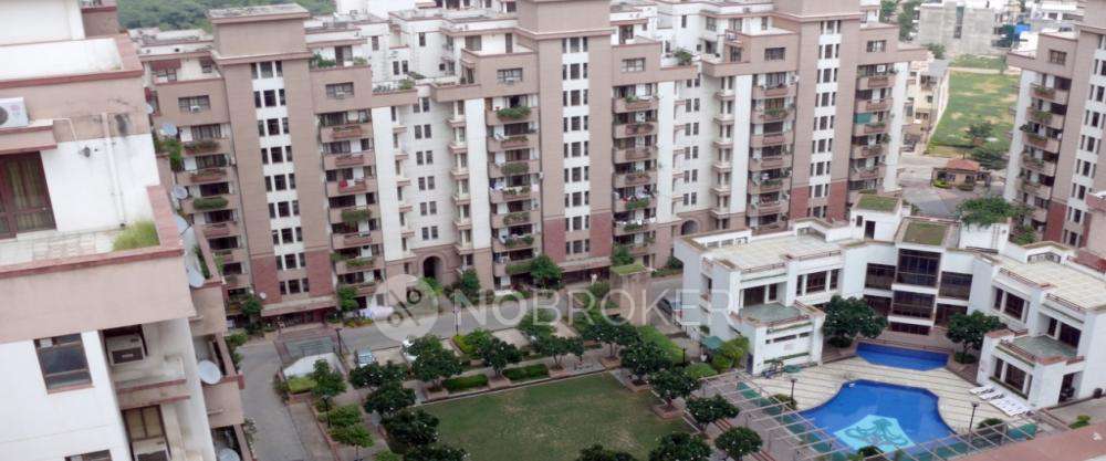 1 RK Flat In Orchid Gardens for Rent  In Sector 54