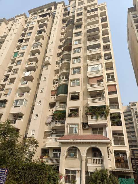 3 BHK Flat In Amrapali Silicon City For Sale  In  Sector 76