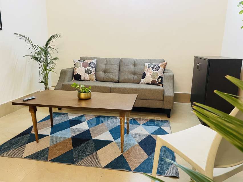 1 BHK Flat for Rent  In Sector 38