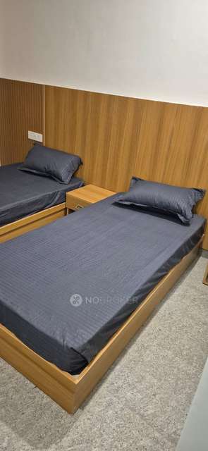 PG for Anyone in Am Stays Pg