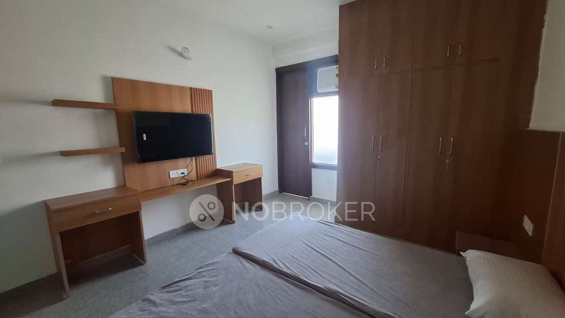 PG for Anyone in Am Stays Pg