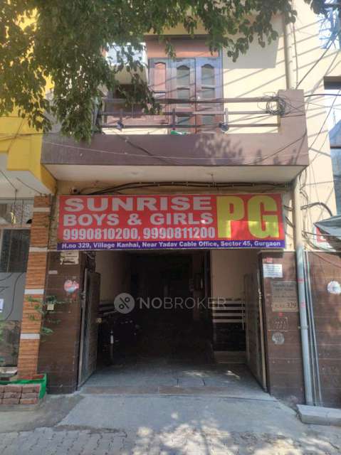 PG for Anyone in Sector 45 Kanhai Gurgaon