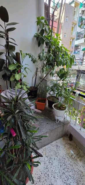 PG for Girls in South Moti Bagh