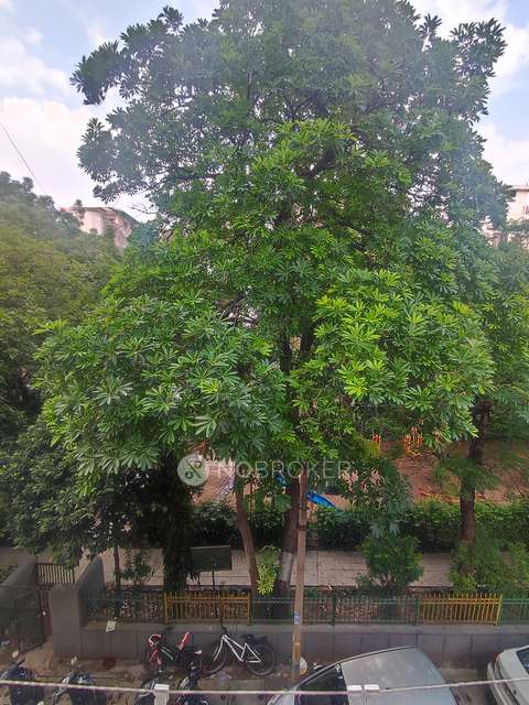 2 BHK Flat In Dayanand Colony, Lajpat Nagar For Sale  In Dayanand Colony