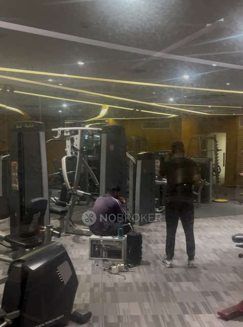 3 BHK Flat In Ace Golfshire For Sale  In Sector 150