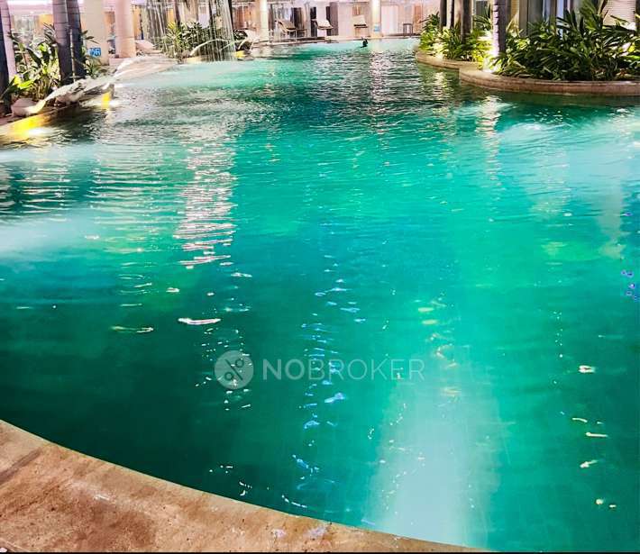 3 BHK Flat In Ace Golfshire For Sale  In Sector 150