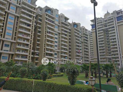 3 BHK Flat In Purvanchal Royal Park For Sale  In Sector-137