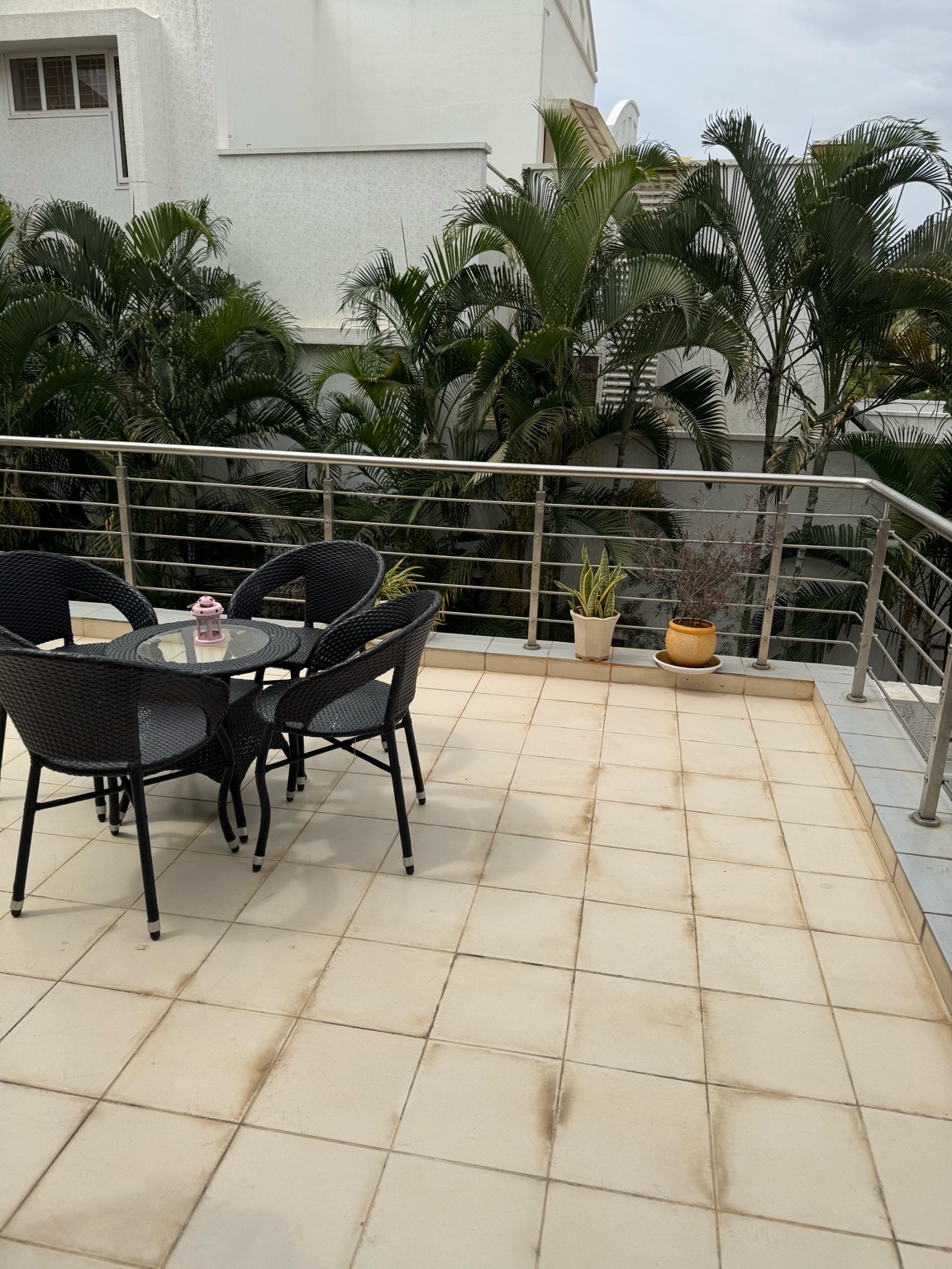 Chartered Grasshopper