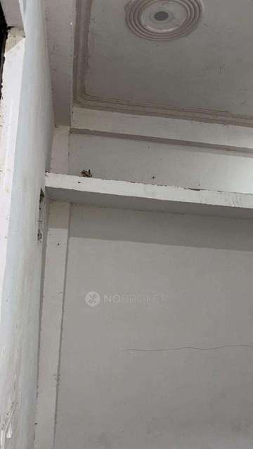 1 BHK House for Rent  In Khora Colony